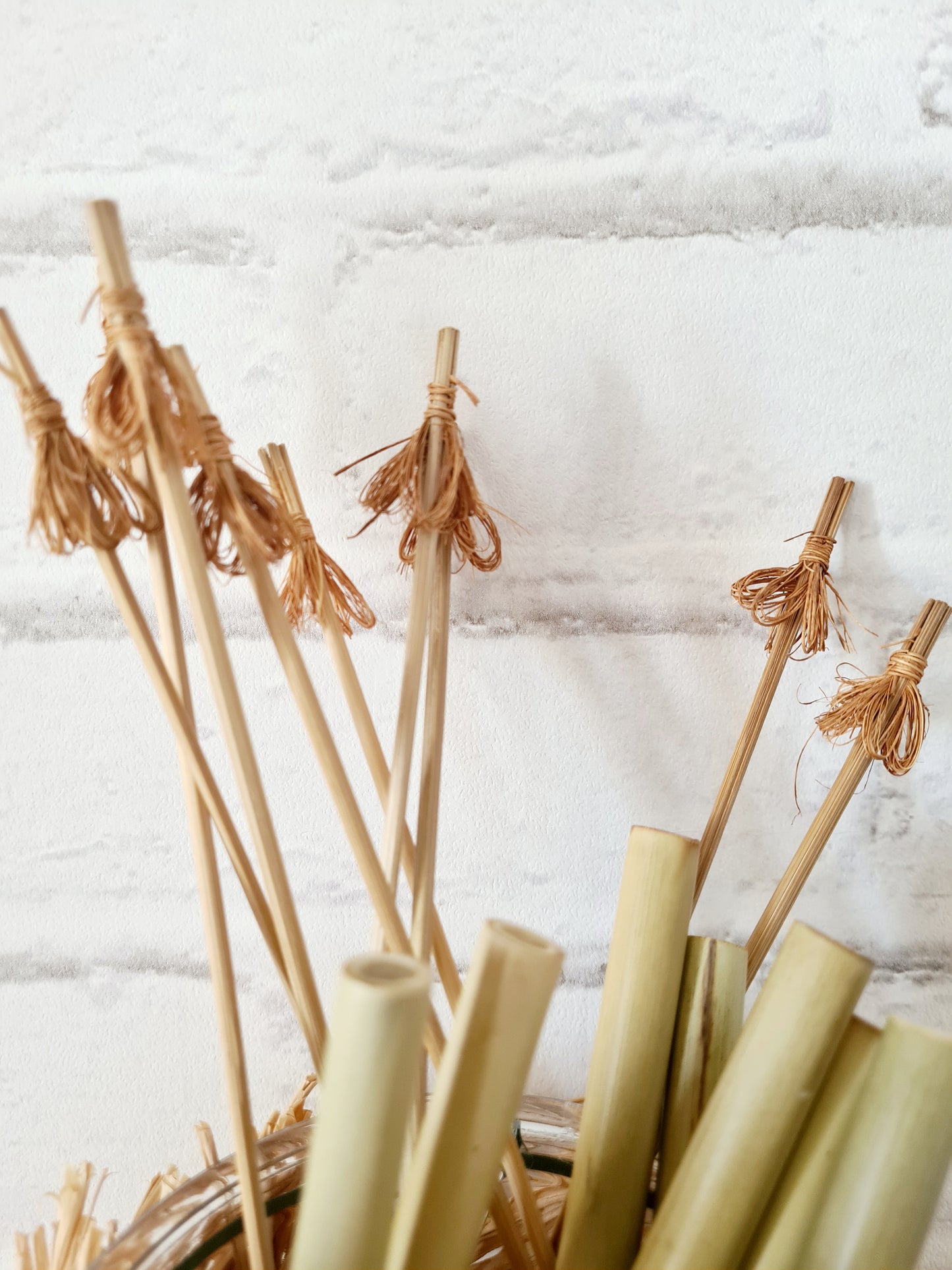Goupillon naturel en coco Sélection MissGreen