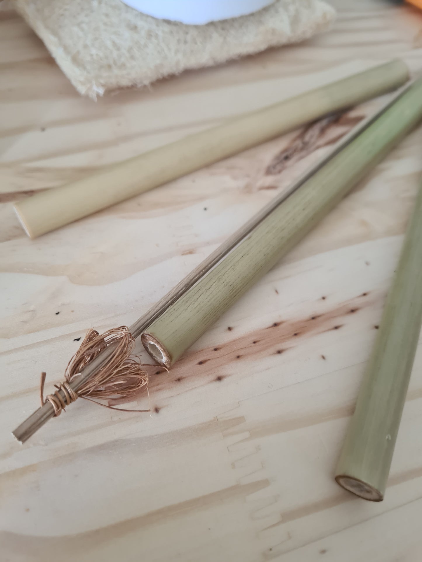 Goupillon naturel en coco Sélection MissGreen