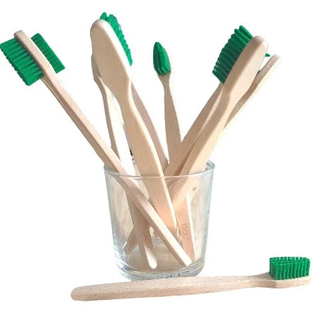 Brosse à dents Bois de Hêtre Adultes - Médium