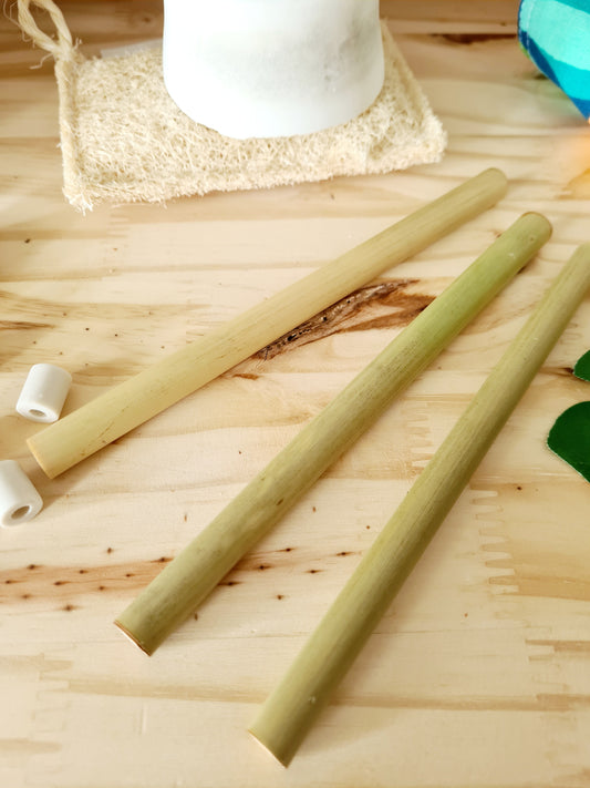 Paille en bambou - 100% française - 15 cm Sélection MissGreen