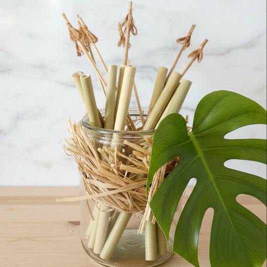 Paille en bambou - 100% française - 15 cm Sélection MissGreen