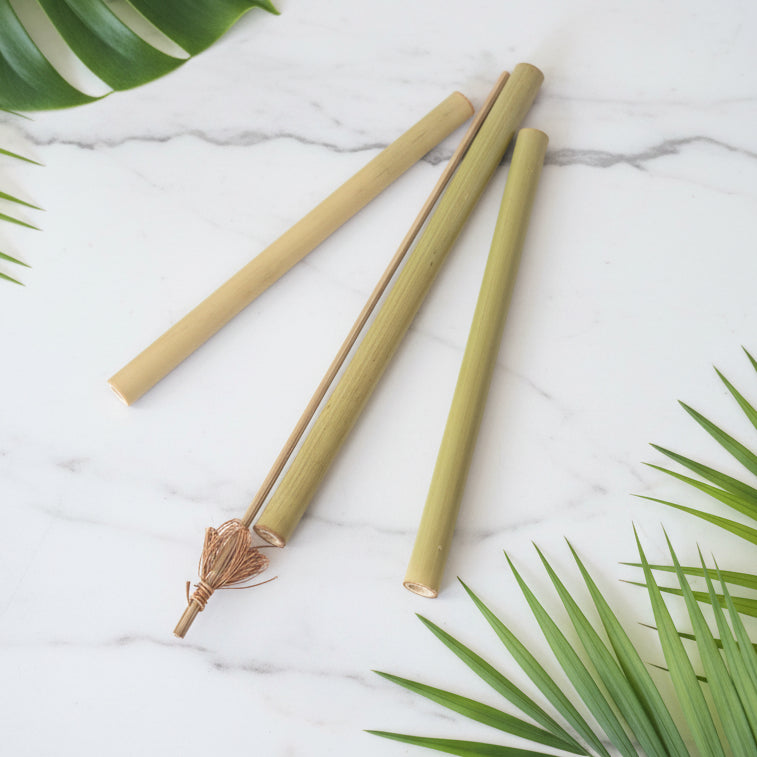 Goupillon de nettoyage naturel sans colle ni agrafe en fibre de coco