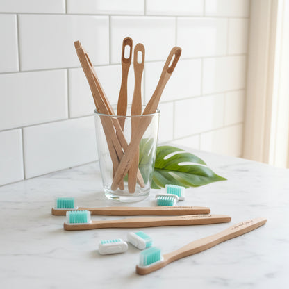 Manche Brosse à Dents Rechargeable en Hêtre | MissGreen