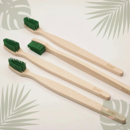brosse à dents adultes bois de hetre brosse médium