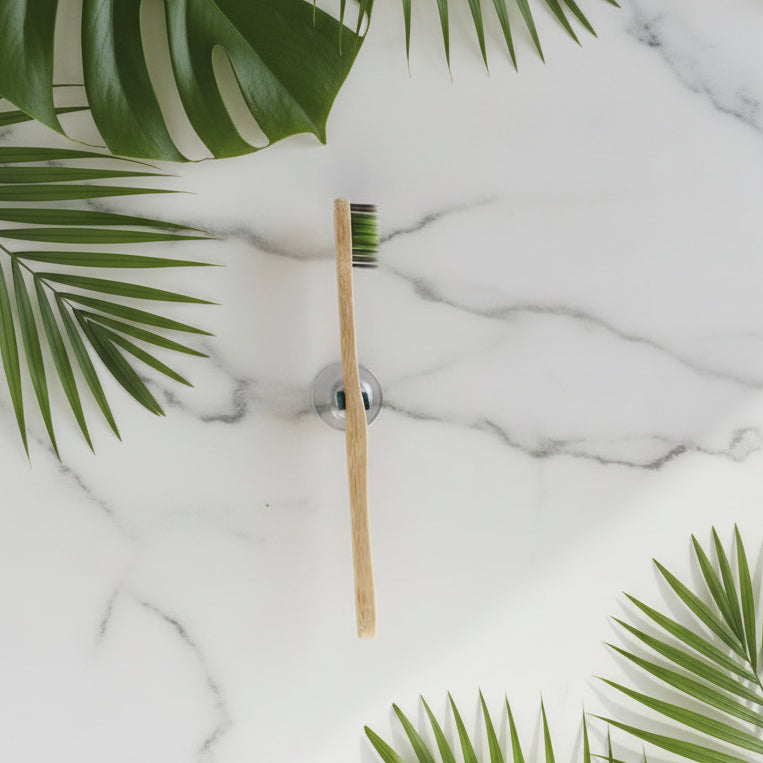 Support ventouse a clip vert fonce et translucide pour brosse a dents MissGreen