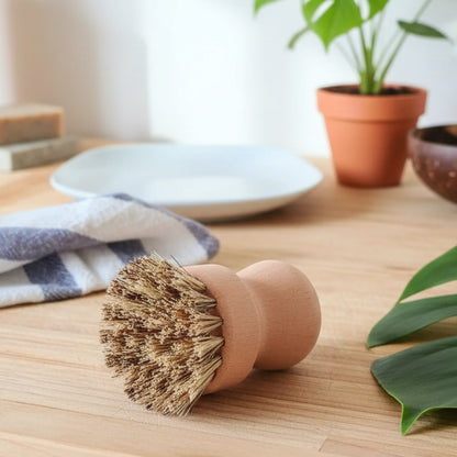 Brosse a vaisselle ronde et ergonomique en bois de hetre MissGreen